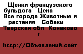 Щенки французского бульдога › Цена ­ 30 000 - Все города Животные и растения » Собаки   . Тверская обл.,Конаково г.